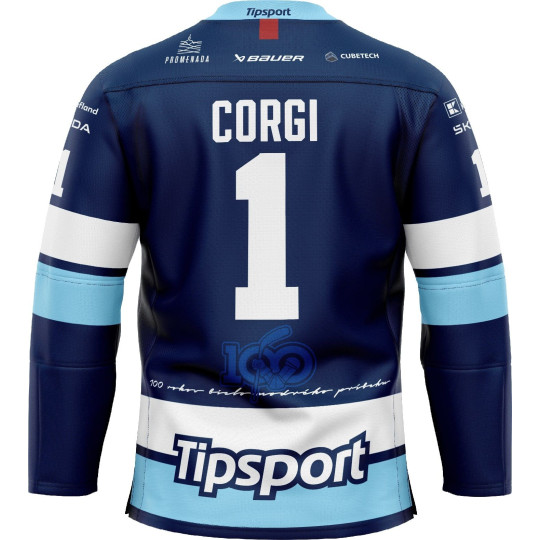 AUTHENTIC dres MODRÝ 2025/2026