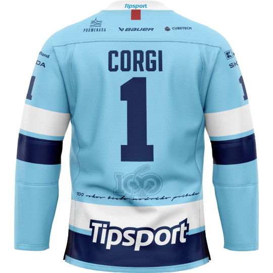 AUTHENTIC dres bledomodrý 2025/2026